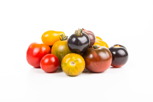 The Benefits of Ashwagandha for Males and Females